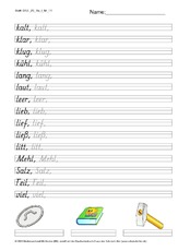 DSS_2S_Bu_l_Nr_11.pdf